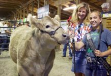 Summit County junior fair sale sets new records second year in a row Summit-County Fair champion steer