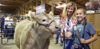 Summit-County Fair champion steer