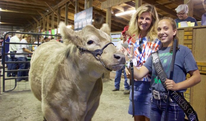 Summit-County Fair champion steer