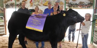 Trumbull grand steer