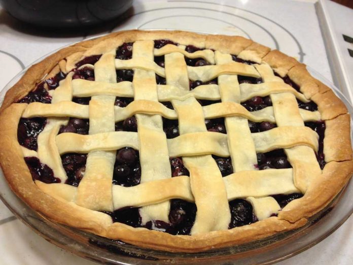blueberry-pie Classic Blueberry Pie