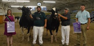 District 7 Ohio Holstein Show