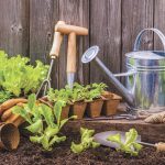gardening news