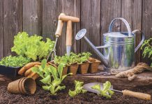 Roundup of gardening news for Aug. 23, 2018 gardening news