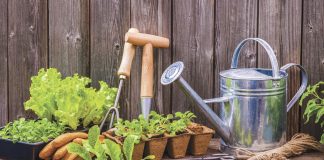 Gardening 101 series continues with Geauga Master Gardeners gardening news