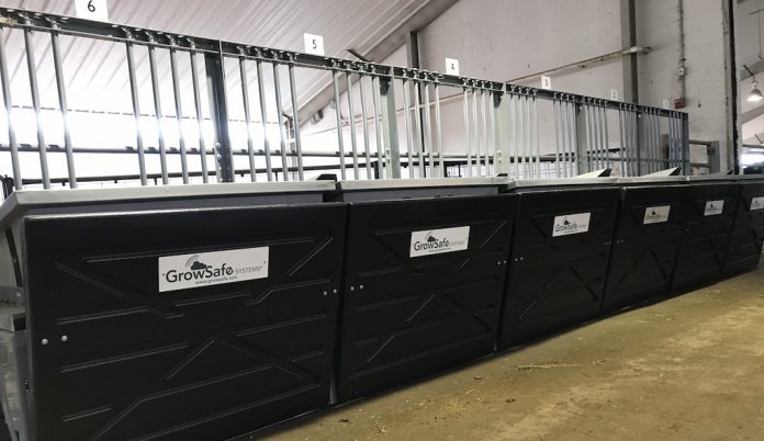 growsafe Grow-Safe cattle feeding system