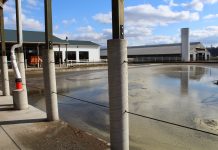 Additive may counteract gypsum-laced manure emissions gypsum laced manure