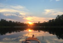 Four-letter words: bird, swim, wade, hunt kayak