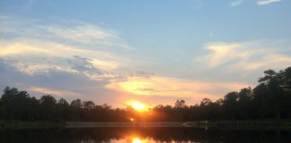 Four-letter words: bird, swim, wade, hunt kayak