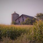 As you go forward in the beef industry, remember to look back Old farm