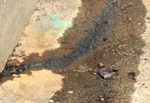 Maintaining septic systems benefits environment, wallet septic health