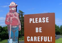 Ohio receives Golden Smokey Award for wildfire prevention smokey bear