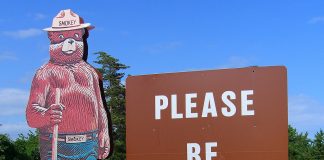 Ohio receives Golden Smokey Award for wildfire prevention smokey bear