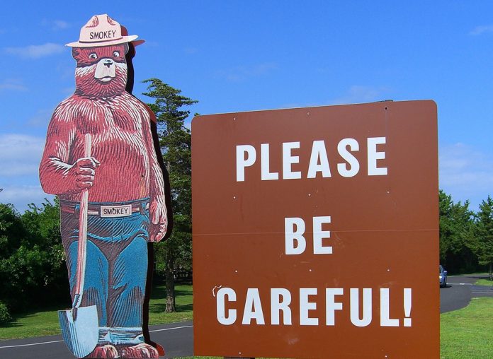 smokey bear smokey bear