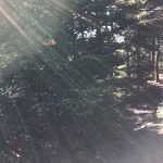 Farming lessons from the Appalachian Trail