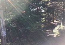 Farming lessons from the Appalachian Trail