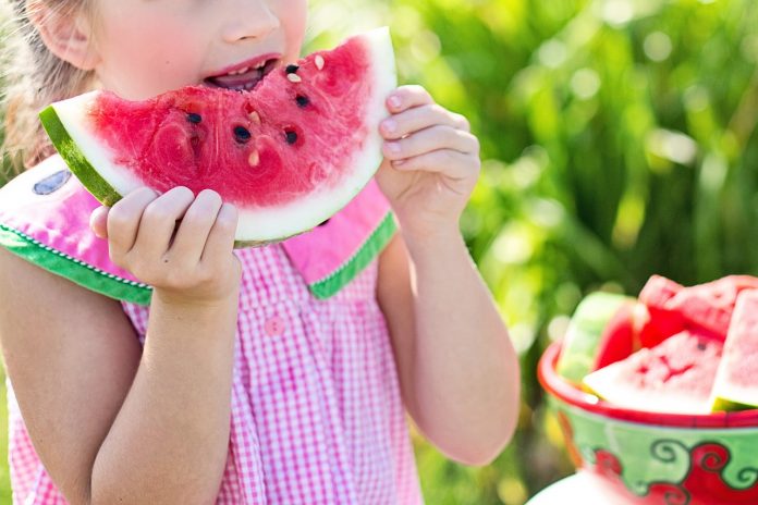 little girl eating watermelon little girl eating watermelon