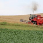 It’s a weather grain market (again) combining wheat