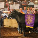 Butler_farm_grand_steer