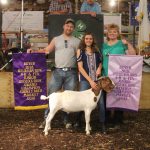 Butler_farm_reserve_goat