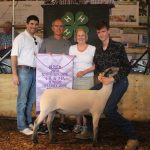 Butler_farm_reserve_lamb