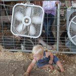 Butler_farm_wild_art1