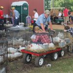 Butler_farm_wild_art2