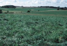 Landowners, deadline for continuous CRP enrollment is Aug. 17 land in CRP