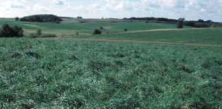 Conservation Reserve Program needs a boost land in CRP