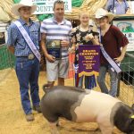 2018 Canfield Fair junior fair livestock sales stay strong Canfield Fair grand champion hog