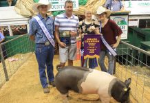 2018 Canfield Fair junior fair livestock sales stay strong Canfield Fair grand champion hog