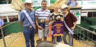 Canfield Fair grand champion hog