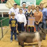 Canfield_reserve_hog