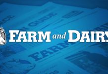 Farm and Dairy logo