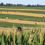 Ohio farmland