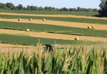 Farmland values still inching upward Ohio farmland