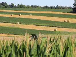 Ohio farmland