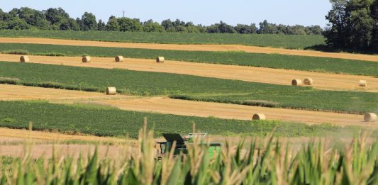 2026 Ag Outlook: What’s moving the needle for Ohio farmers? Ohio farmland