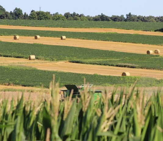 Ohio farmland