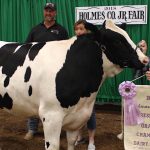Holmes County Fair auction 2018 Holmes champion dairy steer