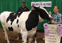 Holmes County Fair auction 2018 Holmes champion dairy steer