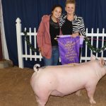 Lawrence County Fair market livestock sale totals $220,000 Lawrence County grand champion hog