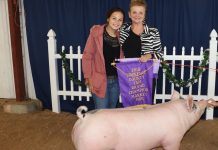 Lawrence County Fair market livestock sale totals $220,000 Lawrence County grand champion hog