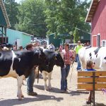 Calls increase for Confederate flag merchandise bans at county fairs Medina Fair livestock sale