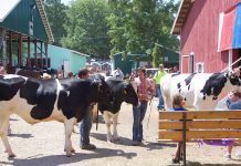 Another successful Medina County livestock sale Medina Fair livestock sale