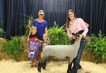 Mercer 4-H Roundup results