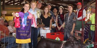 Portage County Fair swine sale results