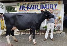 Logan Acres shows supreme champion Supreme Champion of Champions at the 2018 Columbiana County Fair Dairy Show