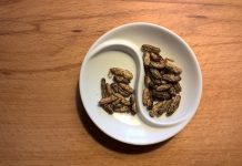 Eating crickets may be good for your gut edible crickets