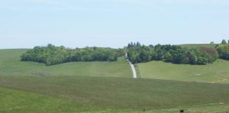 USDA’s Rural Development invests $60.5 million Belmont County Belmont County cattle